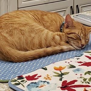 Meet your Posher, Krista